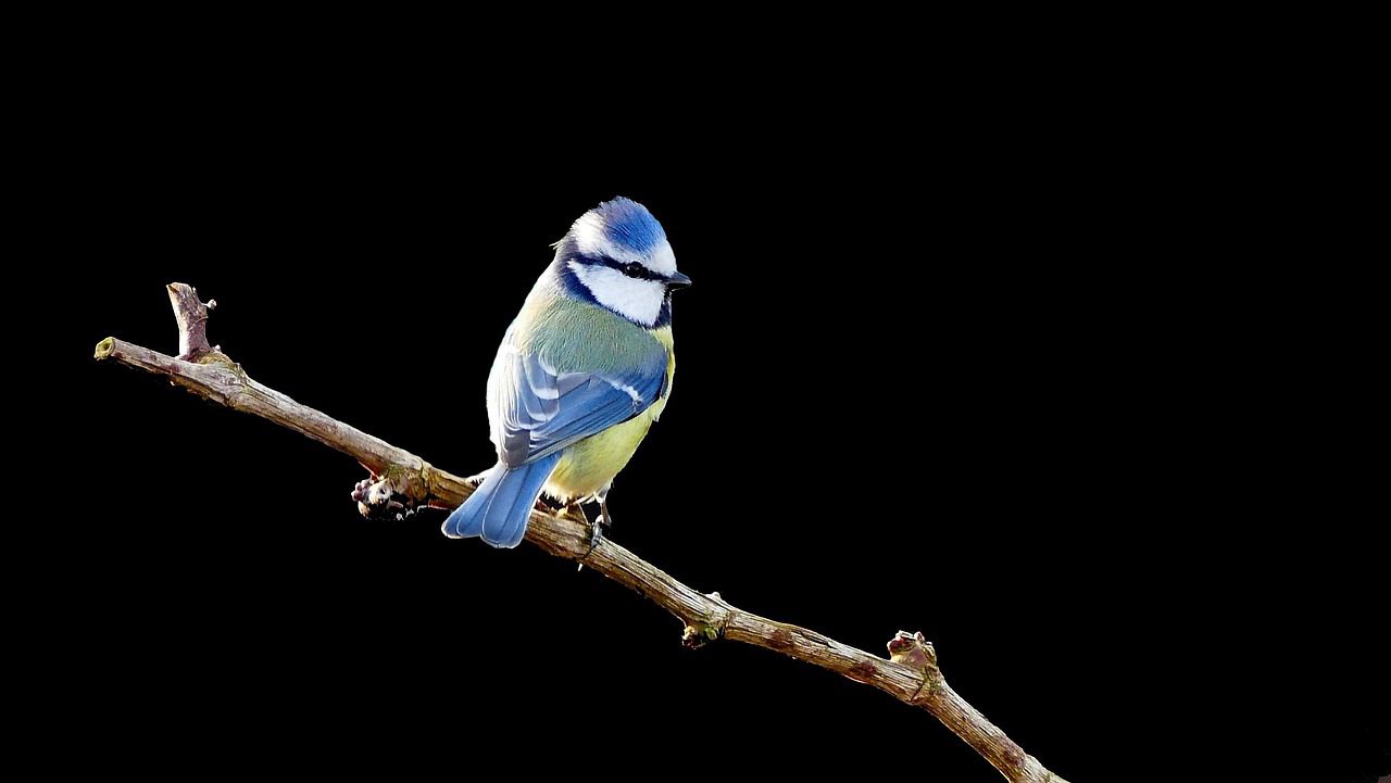 Camisa Chelsea Away Retro 1999 - Branca